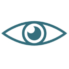 Vision